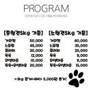 망쿠애견샵 이미지