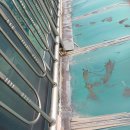 안산주유소 이미지