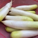 노란단무지 이미지