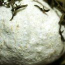 천연발효공방 이미지