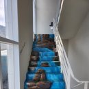 더마레 104 이미지