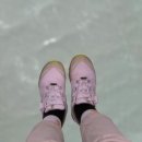 으뜸카랜드 이미지