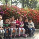 화도진약국 이미지