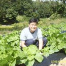 재완농장 이미지