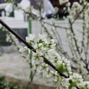 힐 크리닝 | 주월동 제석산호반힐하임 싱크대 UV코팅 후기
