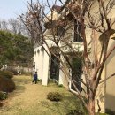 내곡동-8 서울경제
