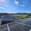 마이태양광발전소 이미지