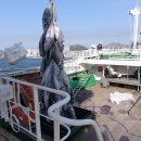 참치어장 이미지