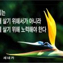 빛장이 네이버블로그