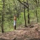 광교산 체육공원 이미지