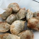 쏭아 | [일상] 쏭아 일상