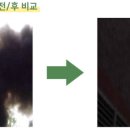 지비컨설팅