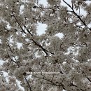 지에스25(GS25) 홍대공원점 이미지