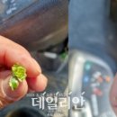 이명희농장 이미지