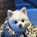 델루나 관광펜션 이미지