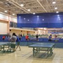 봄내체육관 이미지