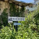 송가네 바다별장 네이버블로그