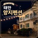 양지 | 꽃지 해수욕장 민박 태안 양지펜션 가성비 커플여행 후기
