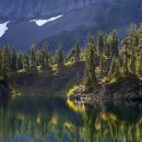 유한사슴농장 이미지