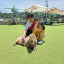 인형천국 오천점 | [세종/청주/충남 아이랑 가볼만한 곳] 실내동물원 '청주 쥬니멀 동물원' 솔직후기