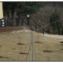 산새랑 게스트하우스 이미지