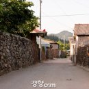 죽림마을 이미지