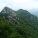 산중문답 Daum카페