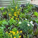 심원농장 이미지