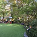 뽀뽀뽀유치원 | 분당 유치원 입학설명회 후기(한국,뽀뽀뽀,도레미,숲속그림,성모유치원)