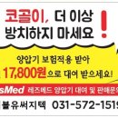 더블유써지텍