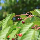 진악산농장 이미지