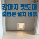 빅토리아펫 강아지고양이 잠실점 | 강아지 펫도어 출입문 설치 비용 업체