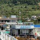 새울림오토캠핑장 | 욕지도 개별화장실 있는 애견동반캠핑장 : 욕지도새울림캠핑장