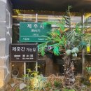 선요양병원 | 광주하남맛집 제줏간하남점 가성비고기에 대왕사이즈사이드메뉴까지!