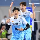 이재영니트 | 프로선수들의 보호대 시즌도 개막하다! 도드람 2020-2021 V리그 - 어떤 브랜드 어떤 보호대가 인기일까?