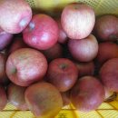 승지농장 이미지