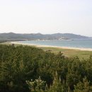 대진문화사 네이버블로그