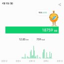 다다익고정육점식당호텔더