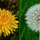 작은농원 이미지