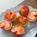 대저팜 | 팜 테이블 킴 대저짭짤이토마토 추천 후기 | 봄 제철 과일