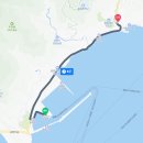 울릉푸른나무 이미지