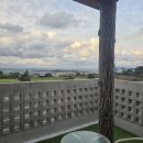 몸냥스테이 이미지