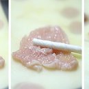 반려견 수제 간식 만들기 이미지