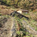 둔포면 윤보선로450번길 이미지