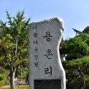 신대보건진료소 티스토리