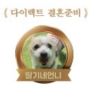 [본식후기] 부산 꽃이되라하셨다 핑크컬러 부토니에 후기