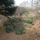 인해농원 이미지