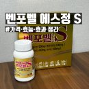 B.S.G 아카데미 | 벤포벨 에스정 S 효과 효능 내돈내산 후기 | 가격·복용법·벤포벨 B G 차이점 비교 (3개월 복용)