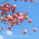 조천4경로당 이미지