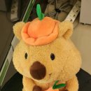 또또2동전 노래연습장 이미지